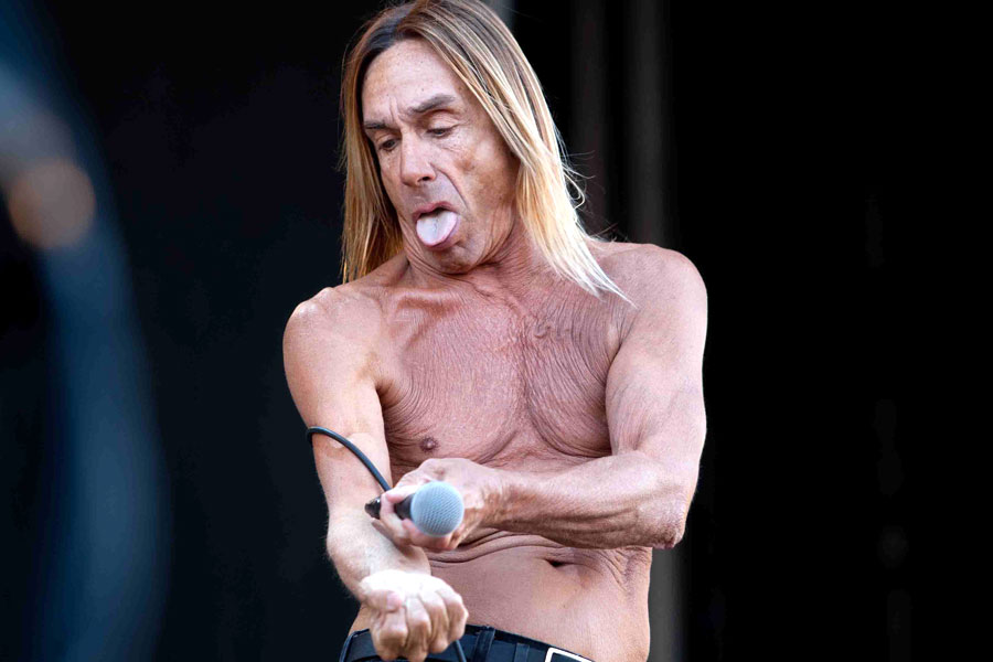 Iggy Pop34