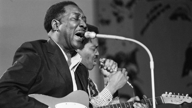 Muddy Waters7